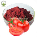 Lycopène pur lycopène biologique en poudre de tomate en stock